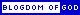 Blogdom of God
